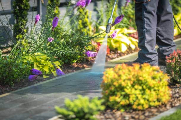 Best Soft Washing for Delicate Surfaces in Radisson, NY